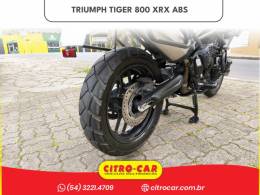 TRIUMPH - TIGER 800 - 2017/2017 - Azul - R$ 47.900,00
